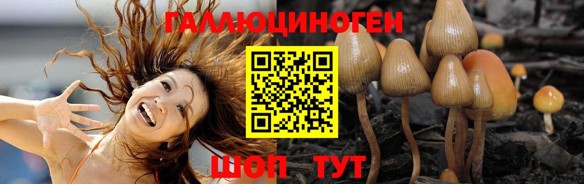 Псилоцибиновые грибы мухоморы  Псилоцибиновые грибы Cubensis  где можно купить наркотик  Среднеуральск  Вход с VPN 